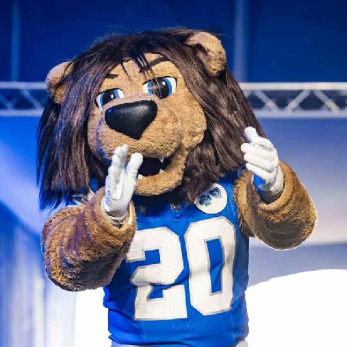 Detroit Lions Rory